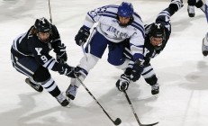 九游中国-当灰熊的利爪撕碎奇才的魔法，福克斯在寂静中亮出獠牙