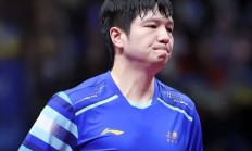 九游中国-中国队力克葡萄牙队，樊振东状态火热的简单介绍