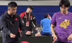 9you娱乐-中国乒乓球队轻取法国乒乓球队，王皓打破历史纪录的简单介绍