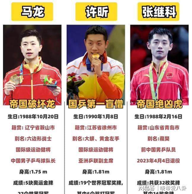 法国队逆转中国队，张继科惊艳四座