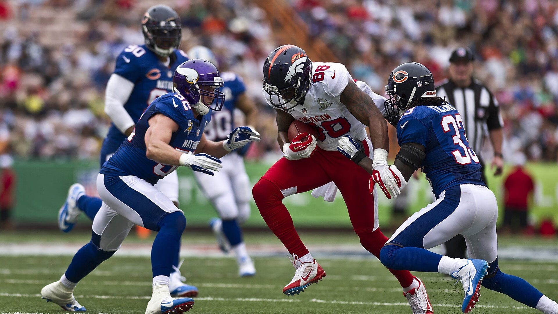 当灰熊的利爪撕碎奇才的魔法，福克斯在寂静中亮出獠牙