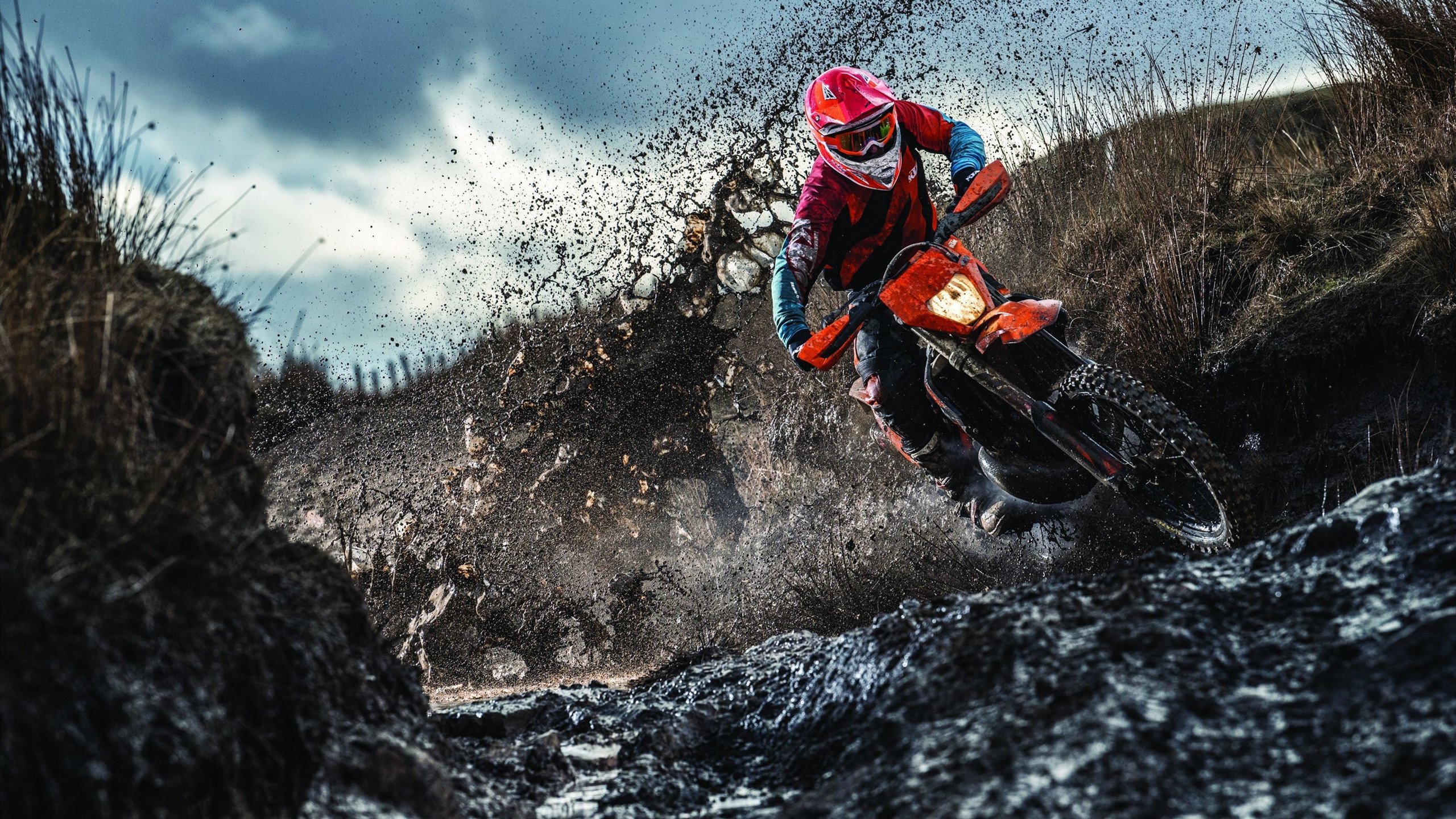 塔图姆贡献制胜表现，北京队打穿老鹰