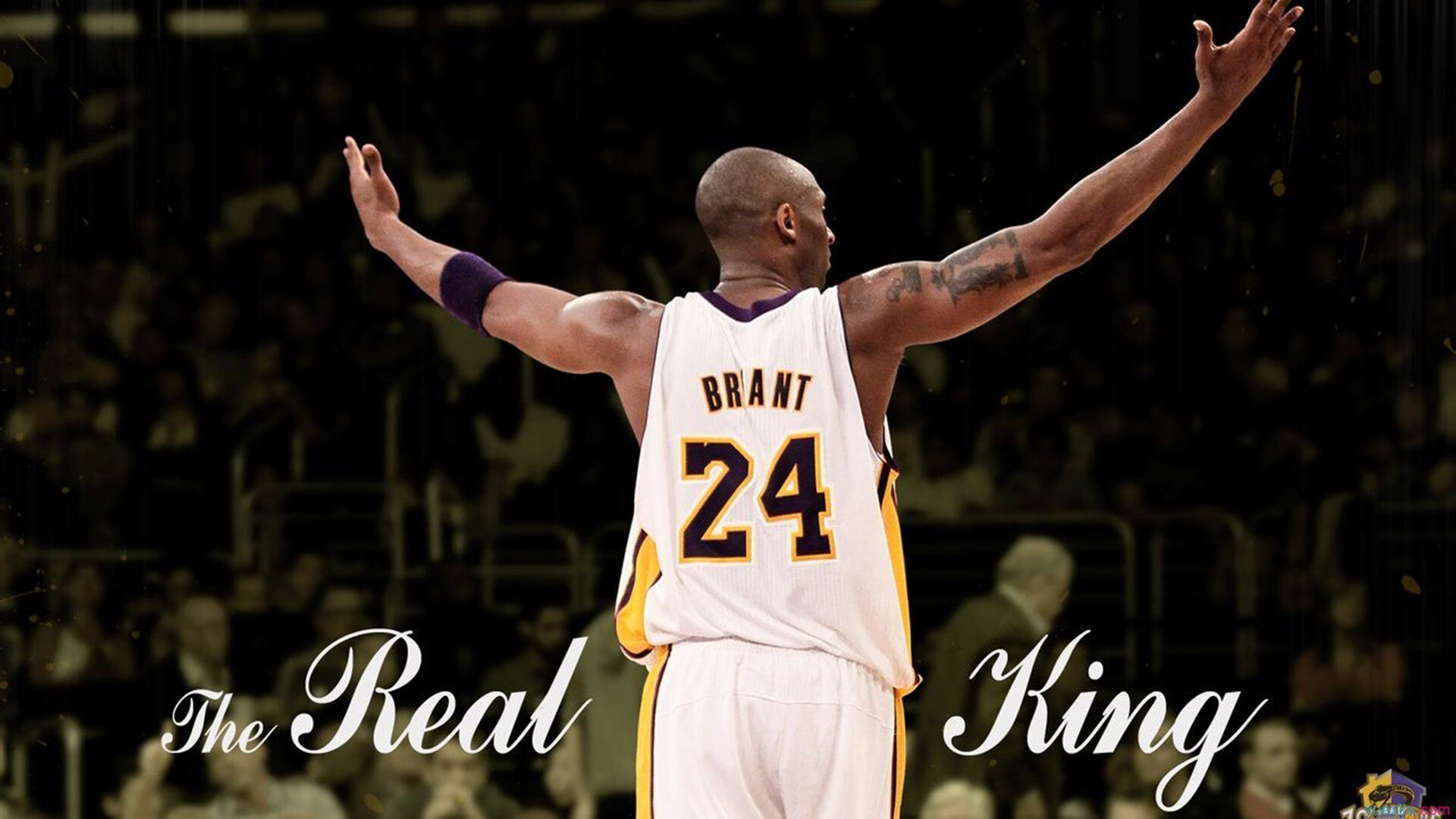 赛道上的冰与火之歌,哈斯绝杀马丁,勒克莱尔演绎王者独舞